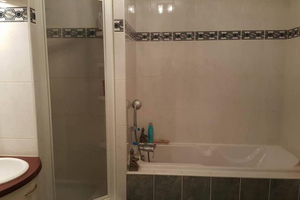 מולהאוס Superbe Duplex Au Nouveau Bassin Avec Vue Superbe מראה חיצוני תמונה